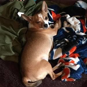 Meet your Posher, Laura